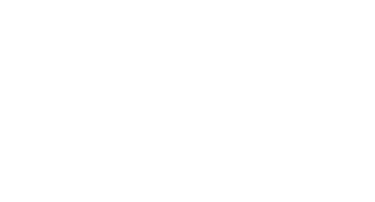 The Baby Show